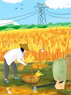 平淡的幸福生活