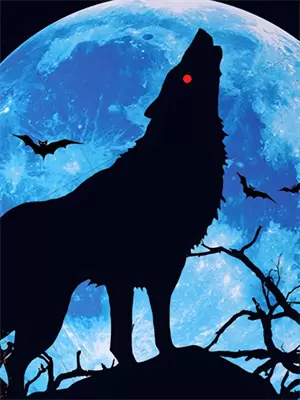 致命重生解说动漫